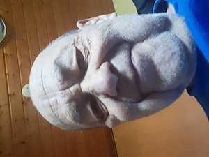 Dickundnasswilliches