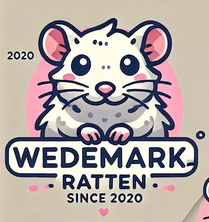 Ratten Nachwuchs Babys Männchen Weibchen