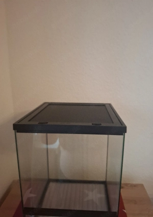 Terrarium 