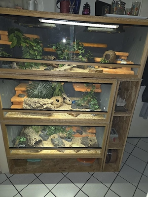 Terrarium 