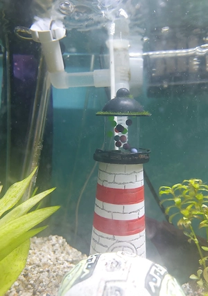aquarium verkaufen mit alles da bei aus privaten Gründen muss ich leider mein Hobby aufgeben 