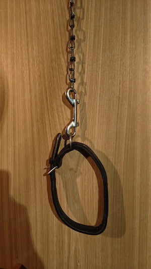 Halsband und Leine für braven Sklaven