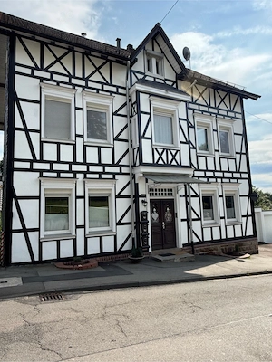 Kamin Ofen WG Gummersbsch Bild 4