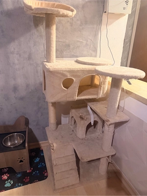 Kratzbaum für Katzen zu verschenken   sofort abholbereit