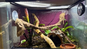 Exo Terra 45x45x45