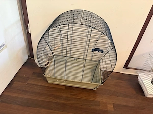 Käfig für vögel ider nageltiere 