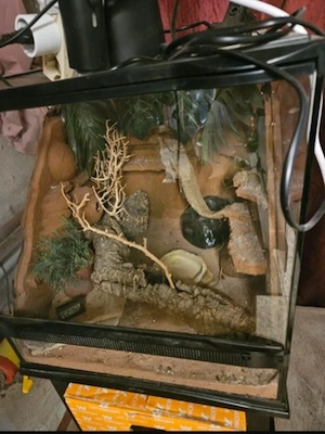 Terrarium 50x50x50