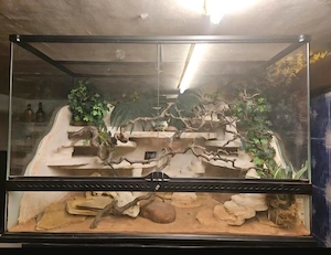 Terrarium 100x50x50