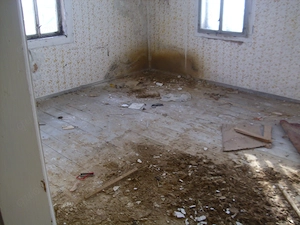 Bauschäden im Haus, Sanierung Beratung Gutachter Statiker