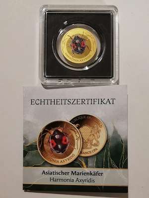 Goldmünze Marienkäfer"Asiatischer Marienkäfer" 1 1000 oz 999er Feingold mit Zertifikat