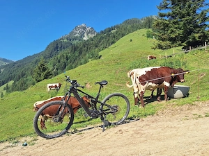Melde dich bitte.