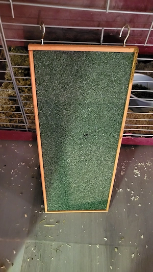 Kaninchen Zwergkaninchen Zwergwidder Hase Haustier Zubehör Komplettpaket Käfig Bild 7