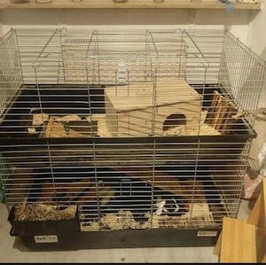 Kaninchen Käfig 