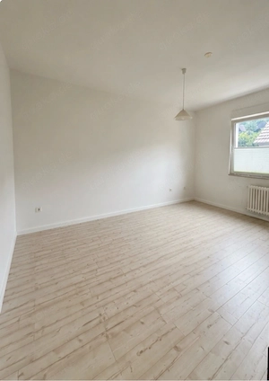 Kamin Ofen WG Gummersbsch Bild 6