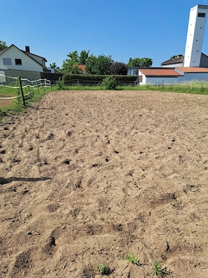 Selbstversorger-Offenstallplatz frei | Leinburg Moritzberg|  Bild 4