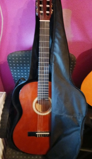 Gitarre gebraucht 