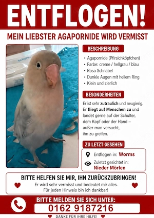 Vogel vermisst
