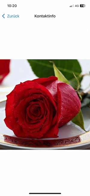 Suche romantische Frau ab 60...