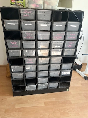 Aufzuchtsrack Rack Reptilien Lanzo Herp