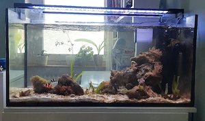 Meerwasseraquarium komplett abzugeben 112 Liter