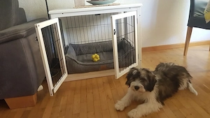 Indoor Hundekäfig L: 81 cm