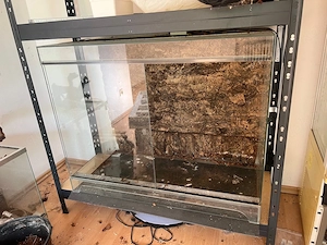 Terrarium Glas