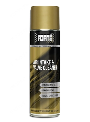 FORTE FORT  AIR INTAKE &amp; VALVE CLEANER - Art.-Nr HT-50769   KFZ-Zubeh r und Fahrzeugbedarf (KFZ