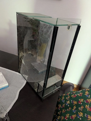 Terrarium fur Wirbellose 