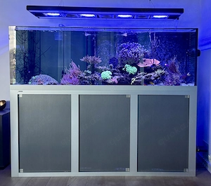 Aquarium Auflösung   Meerwasser komplett   ca. 650 Liter