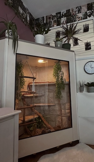 großes Eck-Terrarium