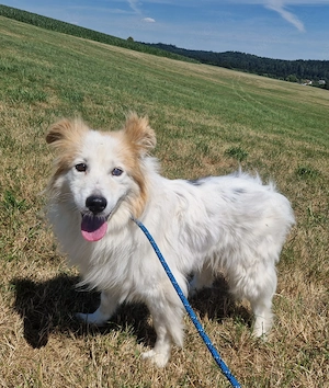 Mariechen, ca. 7 Jahre, 45 cm