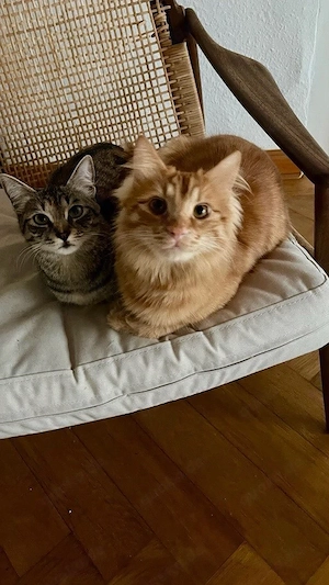 Masha und Leo 