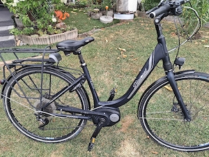 e bike damenfahrrad 