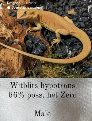 Witblits het. Zero Schlupf jetzt reservieren!!