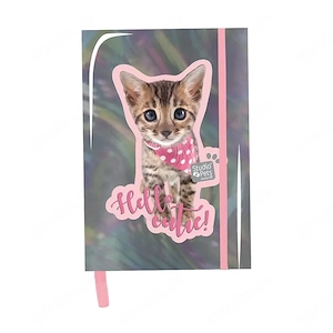 Notizen mit holographischer A5-Lizenz von Studio Pets
