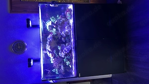 Meerwasseraquarium zu verkaufen 