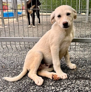 Kleine Briska - auf der Suche nach ihrer Familie Bild 6