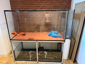 Meerwasser Aquarium mit Giesemann Lampe