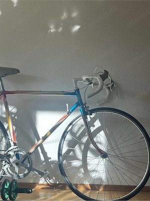 Staiger Rennrad Retro cavallo 3