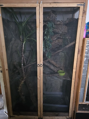 Drei terariums zu verschenken 