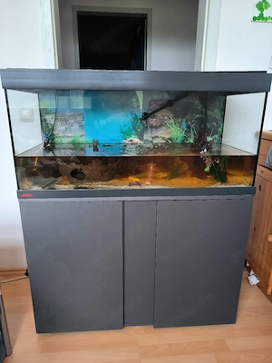 Eheim Aquarium Kombination mit zwei Schildkröten    Haki und Baki