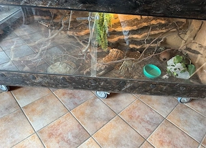 Großes Terrarium