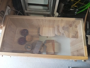 Hamsterstall, mit Zubehör L 1,50 m ,B 0,50 m und H 0,50 m, Abholung in 75057 Kürnbach, 