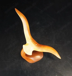 Kleine Seemöwenskulptur, Oregon-Myrtenholz, ca. 20cm Bild 4