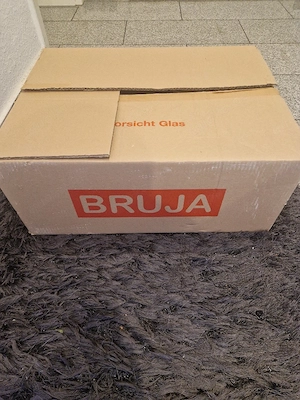 Bruja Flächenbrüter 3000