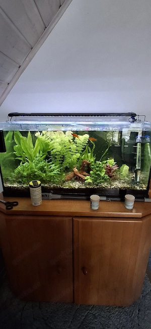 aquarium mit unterschrank