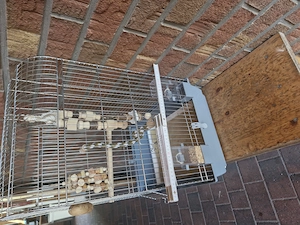 Vogelkäfige abzugeben 