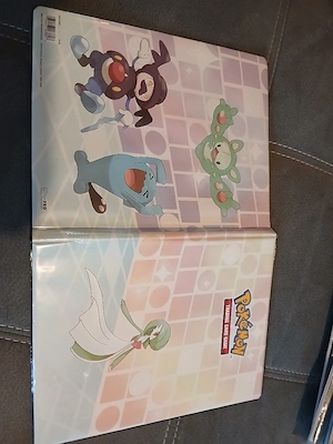 Pokemon Karten Sammlung