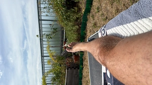 Suche netten Type zum....