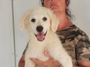 Marita sucht ihr Zuhause (noch auf Sardinien)
